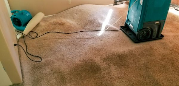 Carpet Water Extraction in Noblesville