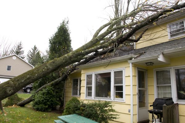 Hurricane Damage Repair in Noblesville